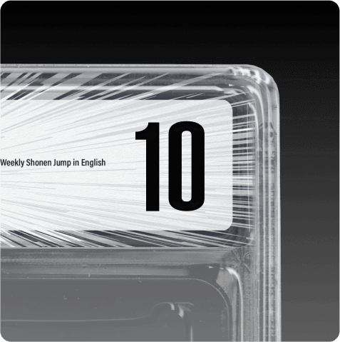 GEM MINT 10
